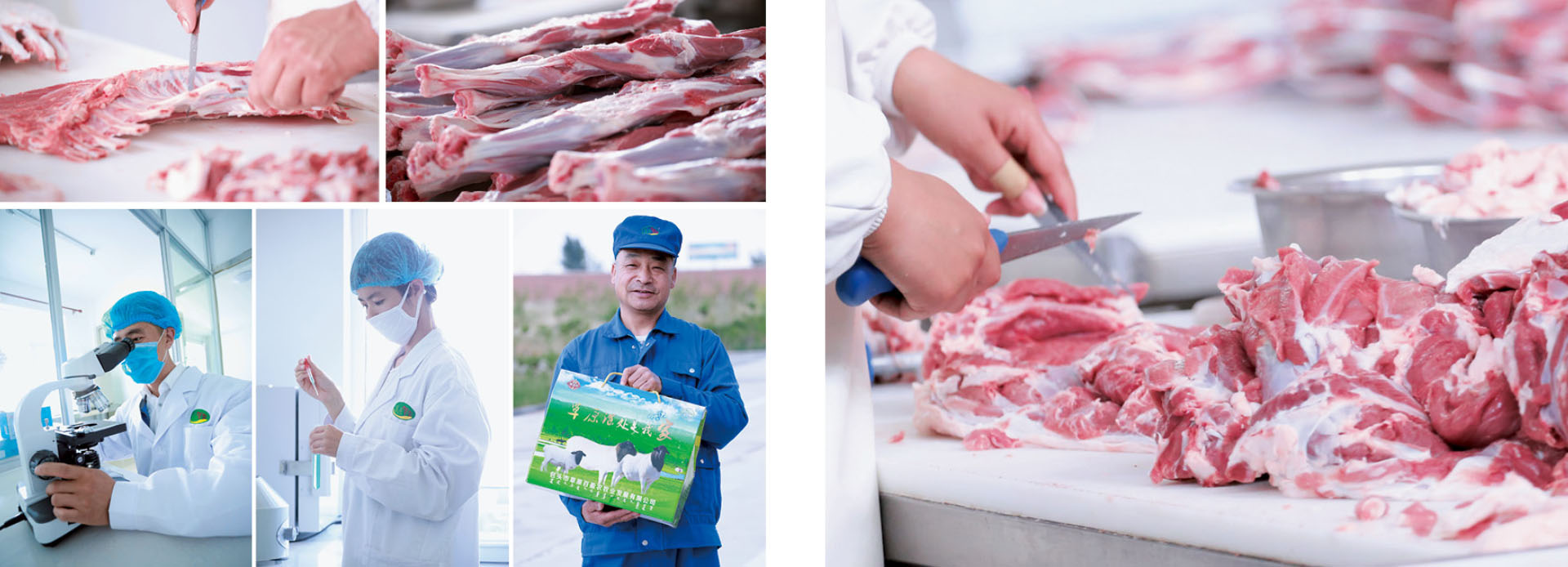 米兰体育app官网入口